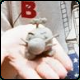 Mr. Saturn Sculpture Thumbnail
